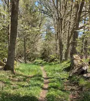 Skogskandidatens Naturlabb