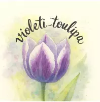 violeti_toulipa