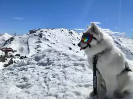 Alpenklasse