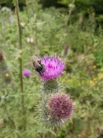 m.zdoupas