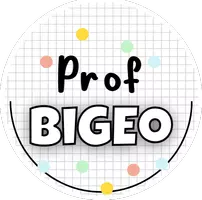 prof.bigeo