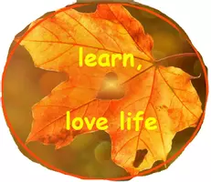 learn love live