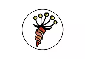 Frau Karotte