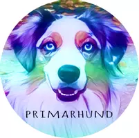 primarhund