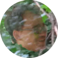im-acordth