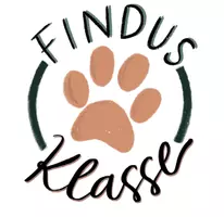 Findusklasse