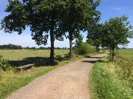 lehrerdasein