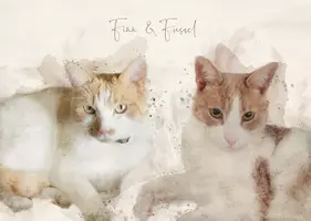 LenaLovesCats