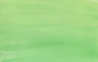Frau Froschkönigin 