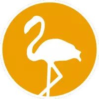 vlamingo