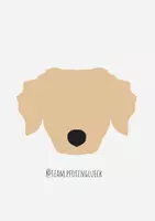 teampfotenglueck