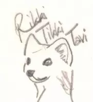 Rikki*Tikki*Tavi