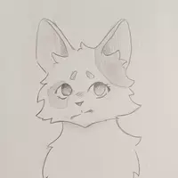 annikkalehrerin