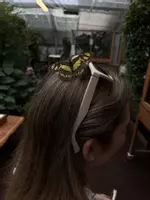 jennys_school_stuff