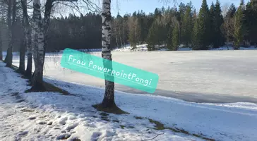 Frau PowerPoint Pongi