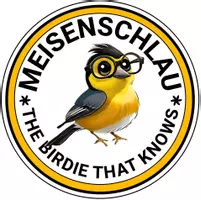 Meisenschlau