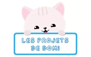 Les projets de Domi