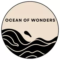 ocean of wonders