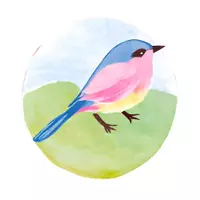 BirdysNebengewerbe