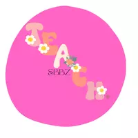 Teach.SBBZ