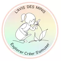 L"avis des minis