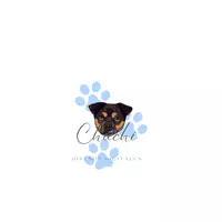 Chuchi.dg