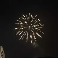 MaestraAri
