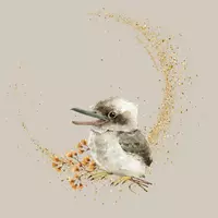 mrs kookaburra