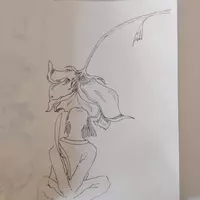 maestraveri