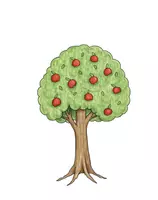 FrauBaums