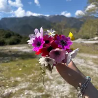 Η Κυρία Έλλη