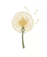 Pusteblümchen