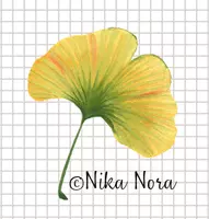 Nika-Nora 