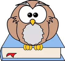 worksheet wonderland