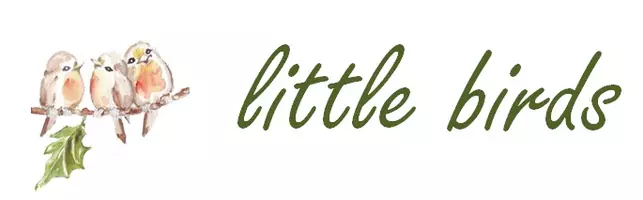 little birds preschool