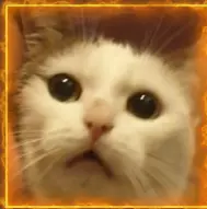 Muska