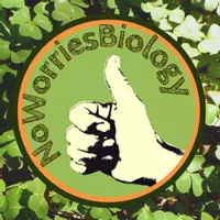 NoWorriesBiology