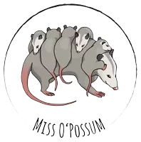 Miss O'Possum