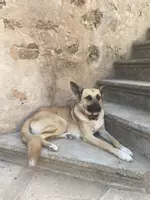Muy bien