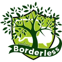 borderless.online