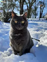 Catucation