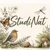 StudiNat