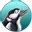 Buntspecht