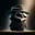 Mr. Pingo