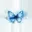 vlinderella