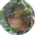 im-acordth