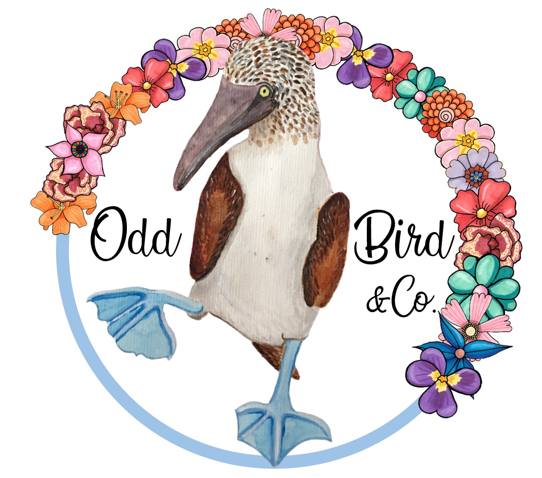 Odd Bird & Company