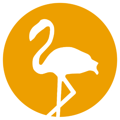 vlamingo