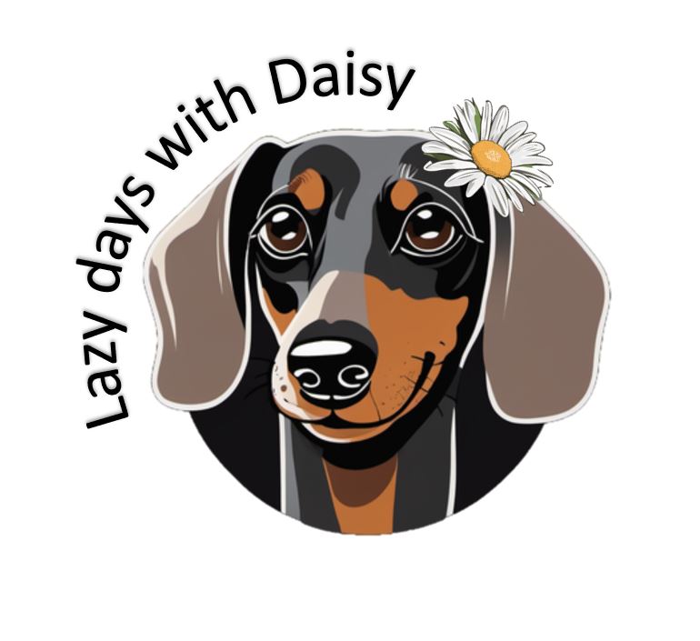 lazydayswith_daisy