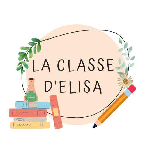 La classe d'Elisa